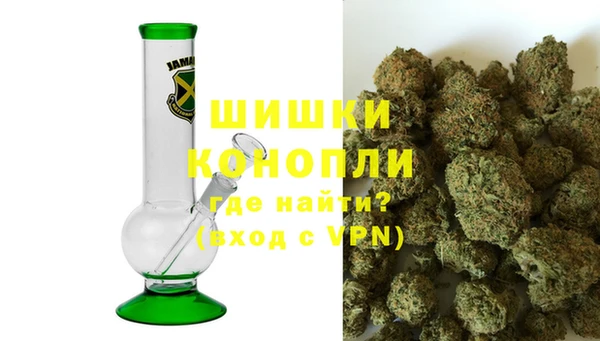 сатива Баксан