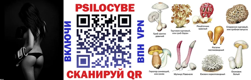 Галлюциногенные грибы ЛСД Верхняя Пышма