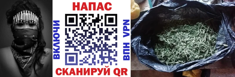 Марихуана план  Верхняя Пышма 
